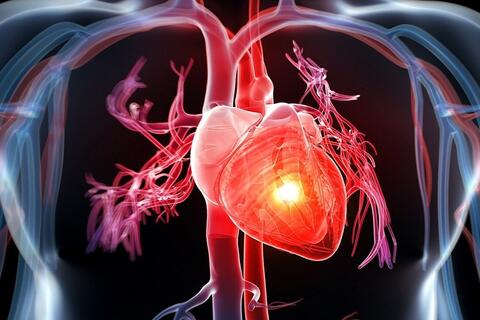 <a href="/thong-tin-y-hoc" title="Thông tin Y học" rel="dofollow">Thông tin Y học</a>
