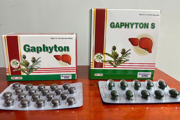 GAPHYTON VÀ GAPHYTON S